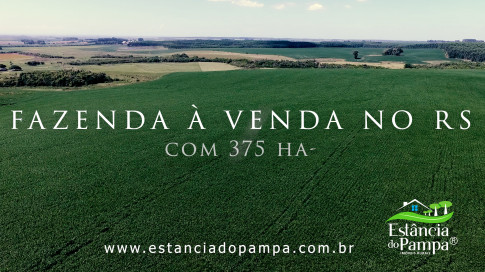 INICIO 3.00_00_14_10.Quadro002_1c7cde164c93e644a368d2fe551cb0a72af316de.jpg